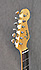 Tokai Goldstar