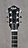 Marlin Banjo 6 cordes