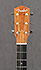 Fender ESD-10E