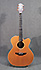 Takamine EN-25C