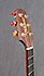 Takamine EN-25C