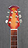 Ovation Celebrity CS 2000