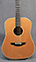 Takamine EN10 LH Japan