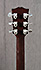 Gibson J-160E