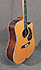 Takamine LTD 2010