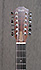 Taylor 360e 12 cordes