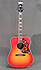 Gibson Hummingbird