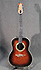 Ovation 1621-1 Balladeer