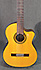 Takamine EG522SC