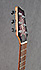 Godin Flat Five