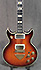 Ibanez Artist