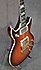 Ibanez Artist