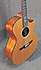 Taylor 514Ce-N