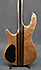 Cort Artisan Bass