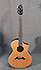 Breedlove C25-CRE H American Series