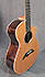 Breedlove C25-CRE H American Series