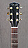 Fender GA45SCE