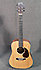 Martin Dreadnought Junior DJRE