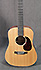 Martin Dreadnought Junior DJRE