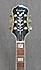 Epiphone Sheraton II