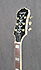 Epiphone Sheraton II