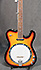 Gold Tone Banjo