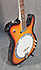 Gold Tone Banjo