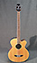 Takamine EGB25S