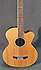 Takamine EGB25S