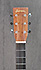 Eastman E20 OM Micro LR Baggs