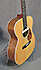 Eastman E20 OM Micro LR Baggs