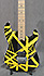 EVH Stripped