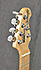 Musicman Silhouette 20th Anniversary