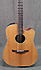 Takamine Tan 10 C