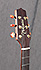 Takamine Tan 10 C
