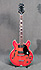 Epiphone EA-250