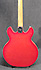 Epiphone EA-250