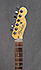 Fender Telecaster American Deluxe Micro MS Tornade