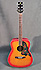 Yamaha FG295S