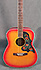 Yamaha FG295S