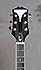 Epiphone Wildkat