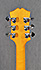 Epiphone Wildkat