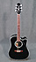 Takamine TF341DLX