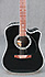 Takamine TF341DLX