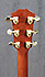 Taylor 710 LTD