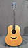 Breedlove Oregon Dreadnought