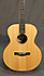 Fender ESM 10E