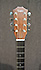 Taylor 326e Baritone 8 LTD