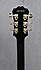 Epiphone Black Beauty