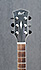 Cort Parkwood 360M